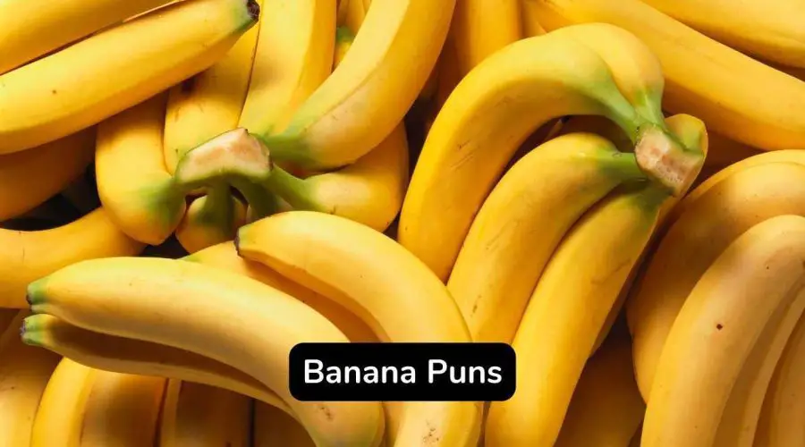Best 40 Banana Puns and Jokes To Make Your Day