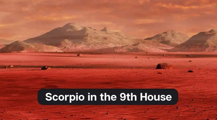 Scorpio in the 9th House – A Comprehensive Guide