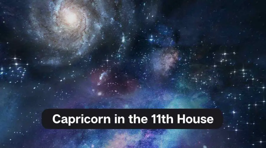 Capricorn in the 11th House – A Comprehensive Guide