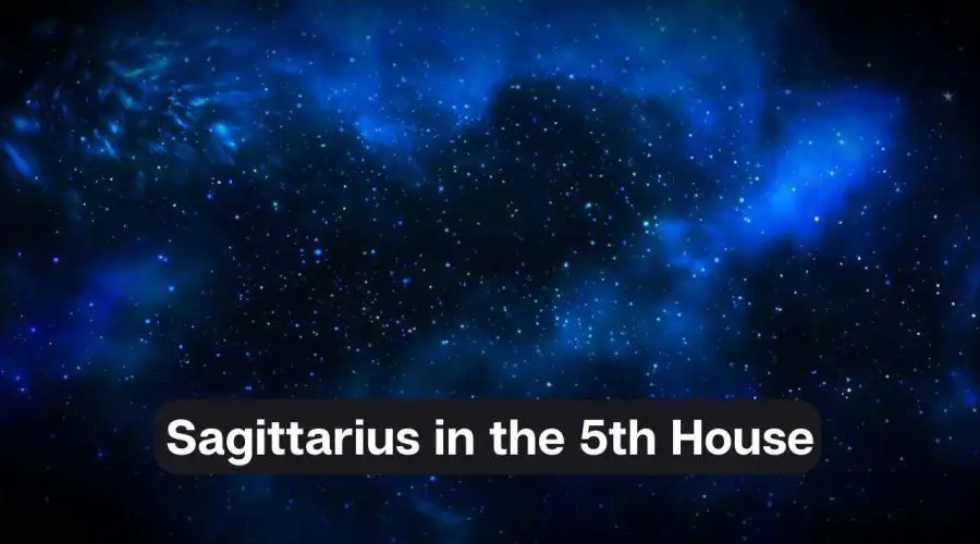 Sagittarius in the 5th House – A Comprehensive Guide