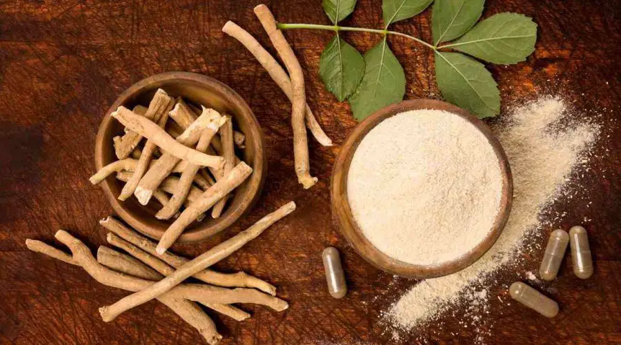 Does Ashwagandha Make You Horny? We know the Answer