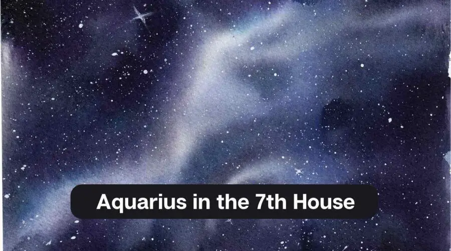 Aquarius in the 7th House – A Comprehensive Guide