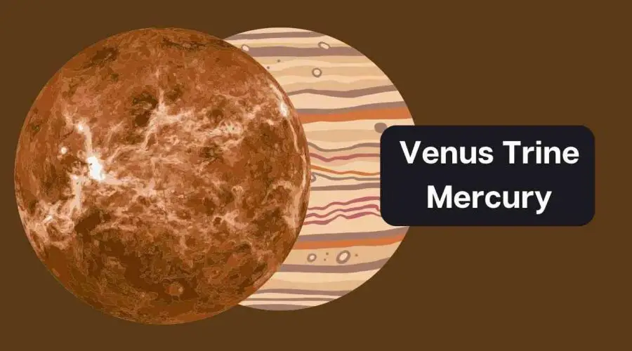 Venus Trine Mercury – A Comprehensive Guide on Venus Trine Mercury Synastry