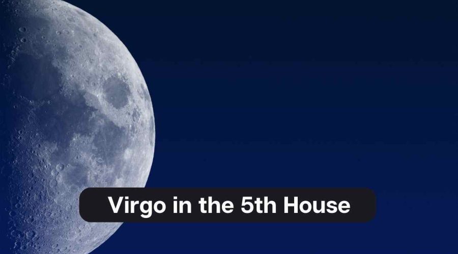 Virgo in the 5th House – A Comprehensive Guide