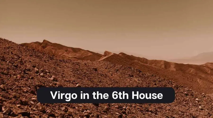 Virgo in the 6th House – A Comprehensive Guide