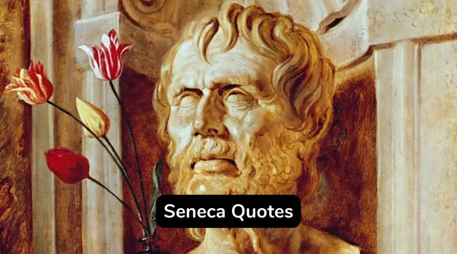 Top 35 Inspirational Seneca Quotes to Make Your Day
