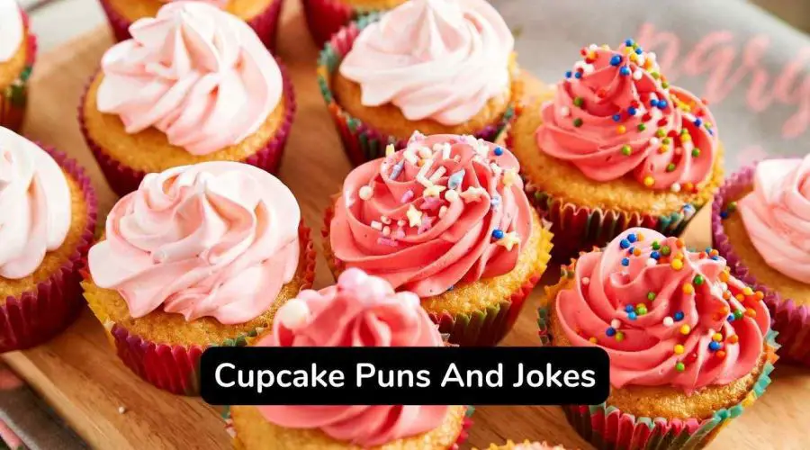 Best 40 Cupcake Jokes That Are Very Funnious