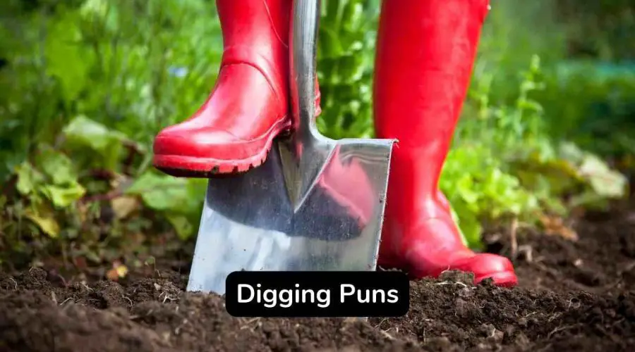 60 Funny Digging Puns and Jokes You Will Love