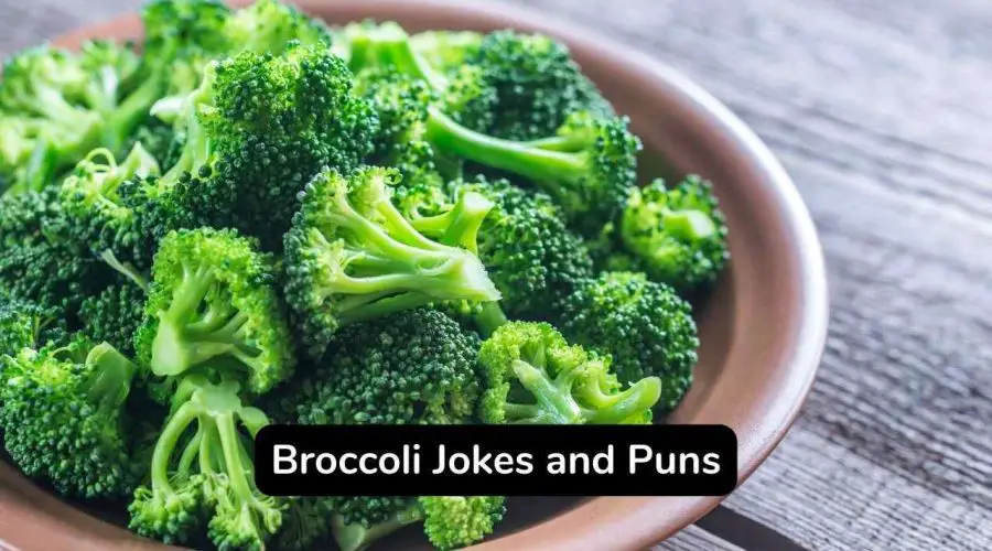 55 Funny Broccoli Jokes and Puns To Make You Brocco-lol-i