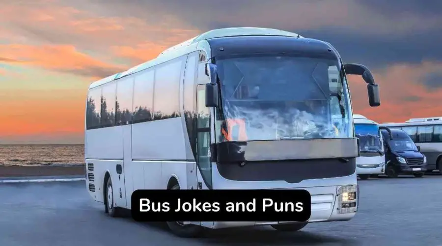 25 Amazing Bus Jokes and Puns One Liners