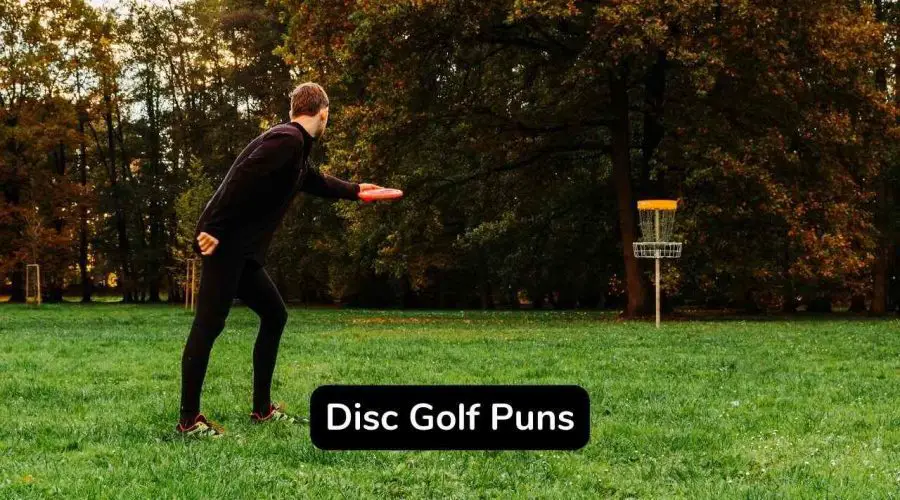 Best 50 Disc Golf Puns and Jokes