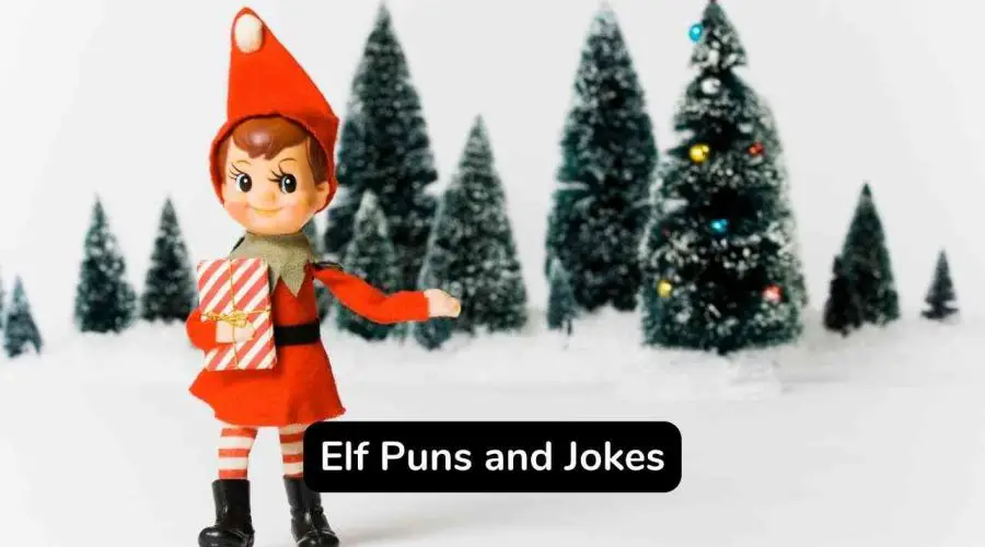 Best 80 Elf Puns and Jokes That Are Too Hilarious
