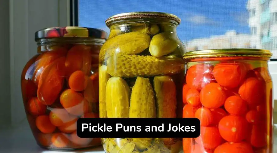 Top 50 Pickle Puns And Jokes That Are Sourly Funny