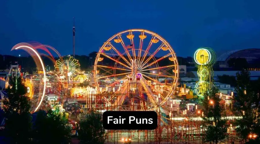 40 Hilarious Fair Puns and Jokes To Make Your Day