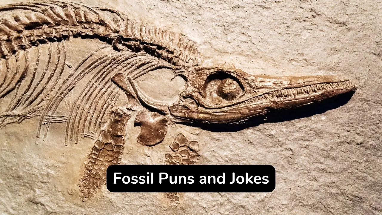 shell-shocked  painful puns (& wordplay)