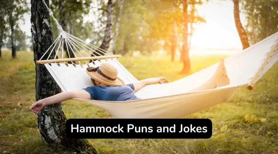 Best 60 Hammock Puns and Jokes You Will Love