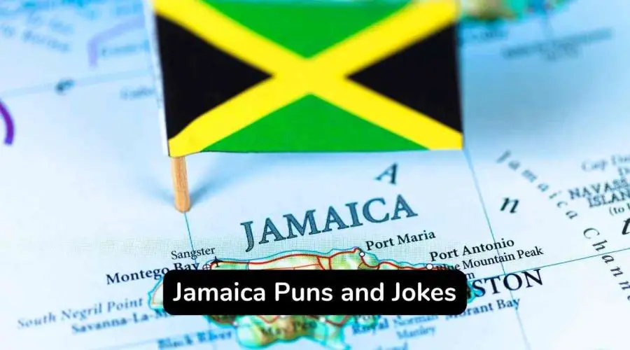60+ Funny Jamaica Puns and Jokes You Will Never Miss