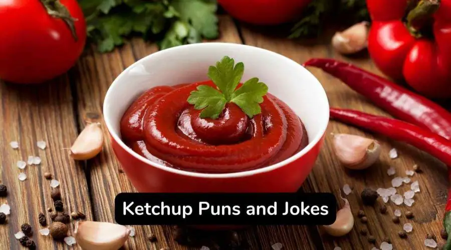 55+ Crazy Ketchup Puns and Jokes That Are Too Funny
