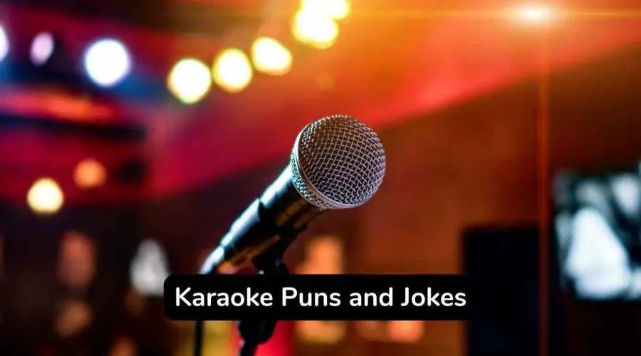 50 Karaoke Puns and Jokes That You Will Love