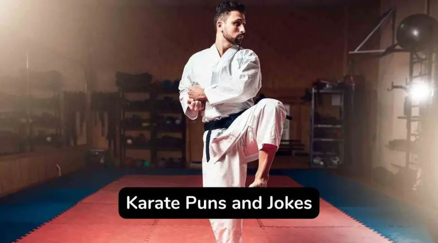 50 Karate Puns and Jokes You Should Not Miss!