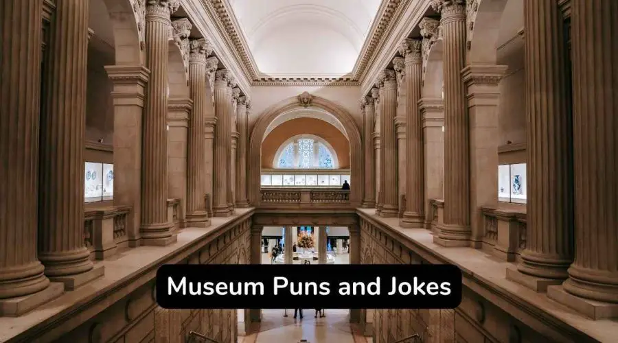 Best 30 Museum Puns and Jokes That Will Make You Laugh