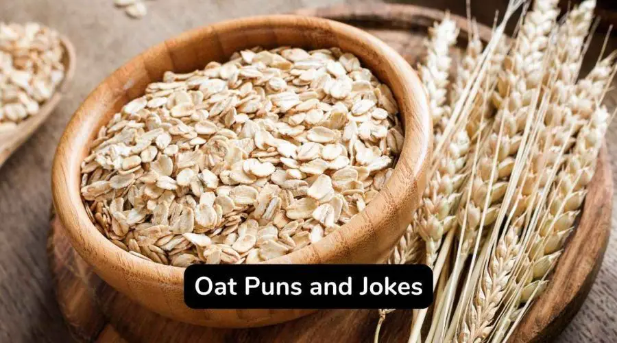 Best 60 Funny Oat Puns and Jokes Thar Are Very Healthy