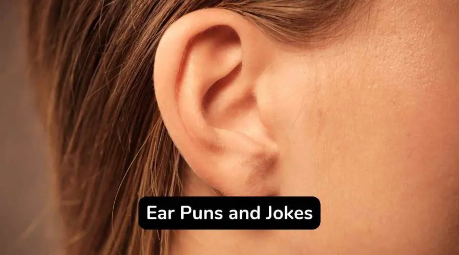60 Best Ear Puns and Jokes That You Will Love