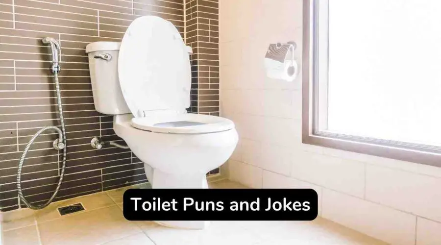 Best 50 Toilet Puns and Jokes For Adults