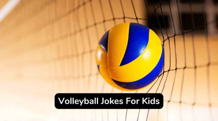 Best 50 Hilarious Volleyball Jokes To Make Your Day