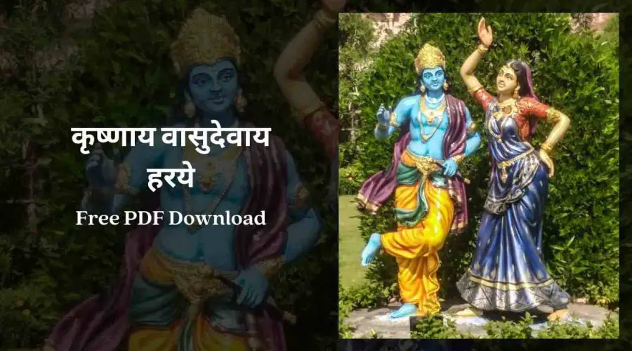 Krishnaya Vasudevaya Haraye Paramatmane Meaning | Free PDF Download