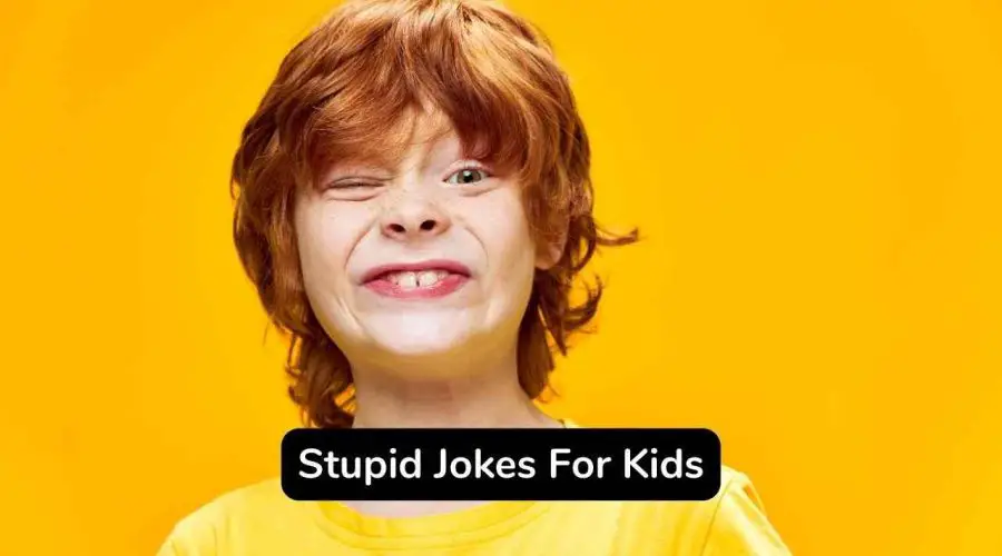 45 Funny Stupid Jokes For Kids You Will Love