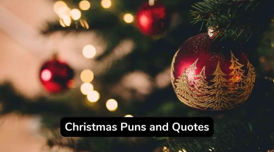 60+ Corny Christmas Jokes To Make Your Day