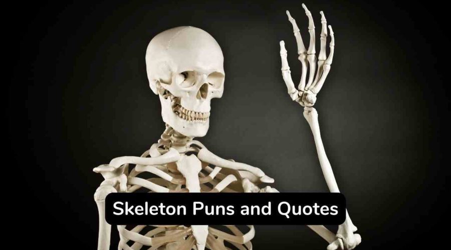 Top 70 Funny Skeleton Jokes and Puns To Shake Your Body
