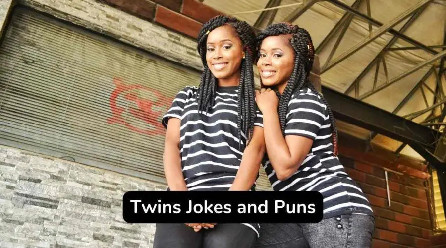 Best 30 Jokes On Twins That Are Hilarious