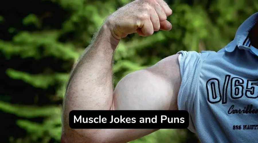 50 Funny Muscular Jokes and Puns That Will Make You Laugh A Lot