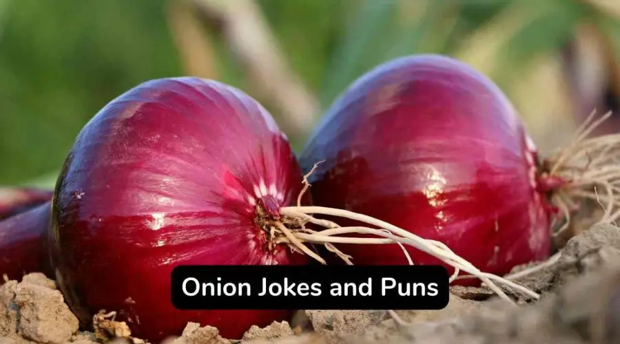 Best 60 Onion Puns That Will Make You Crazy Cry