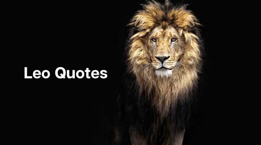 Top 50 Leo Quotes That Express The Power Of Leo-Born People