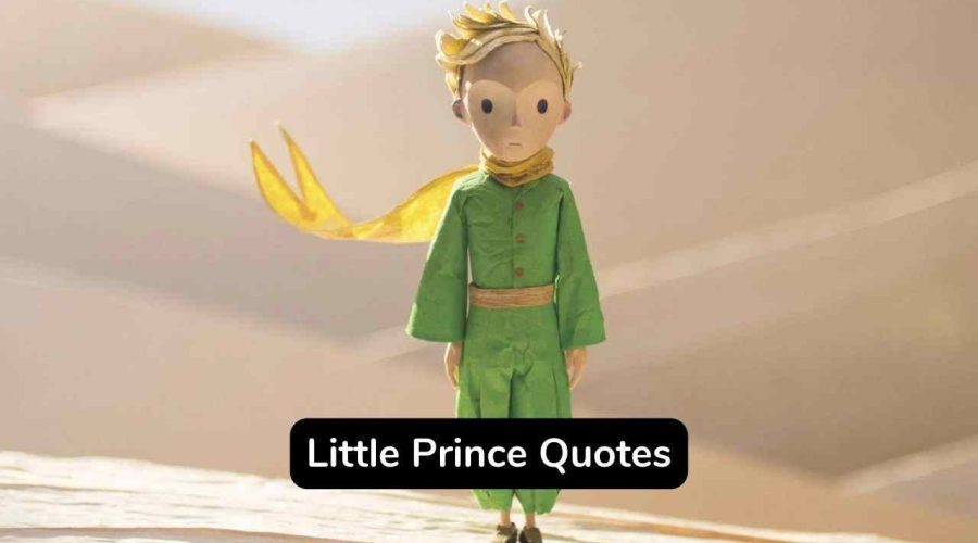 25 Little Prince Quotes About Friendship and Relationship