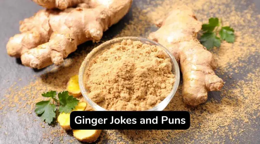 40 Funny Ginger Jokes and Puns You Should Not Miss!