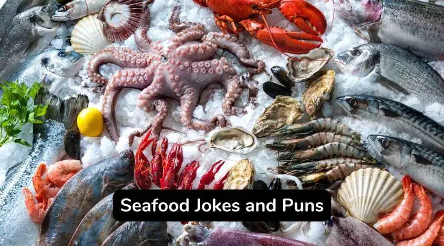 Top 60 Seafood Jokes and Puns That Are Very Funny