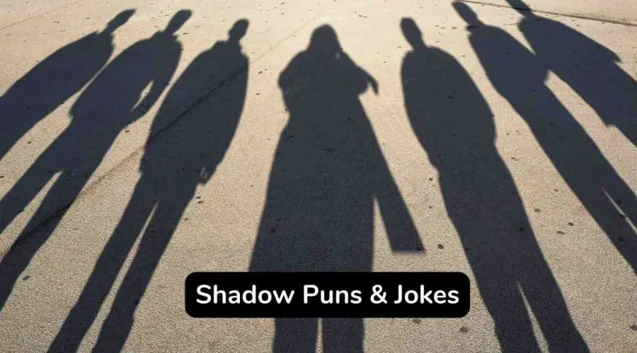 Top 75 Funny Shadows Puns and Jokes You Should Not Miss!
