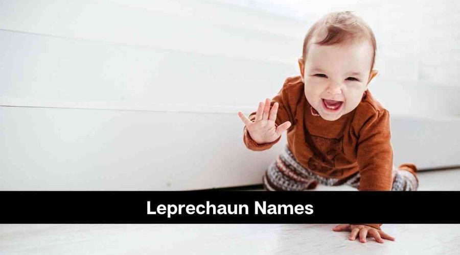 130 Catchy Leprechaun Names For Boys and Girls