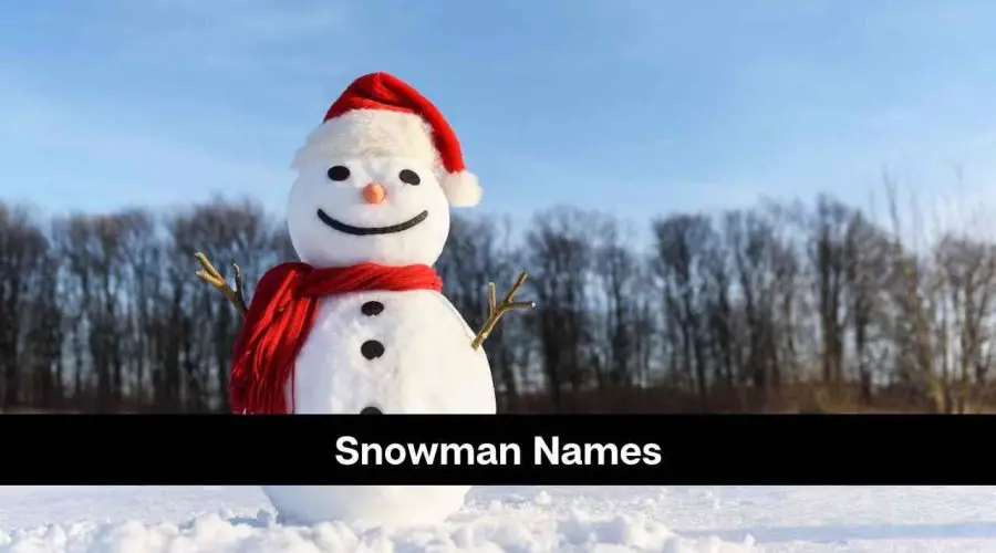 120 Top Snowman Names You Should Not Miss!