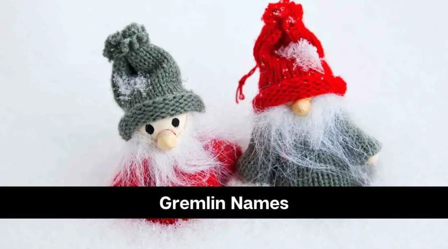 65 Popular Gremlin Names That You Will Love