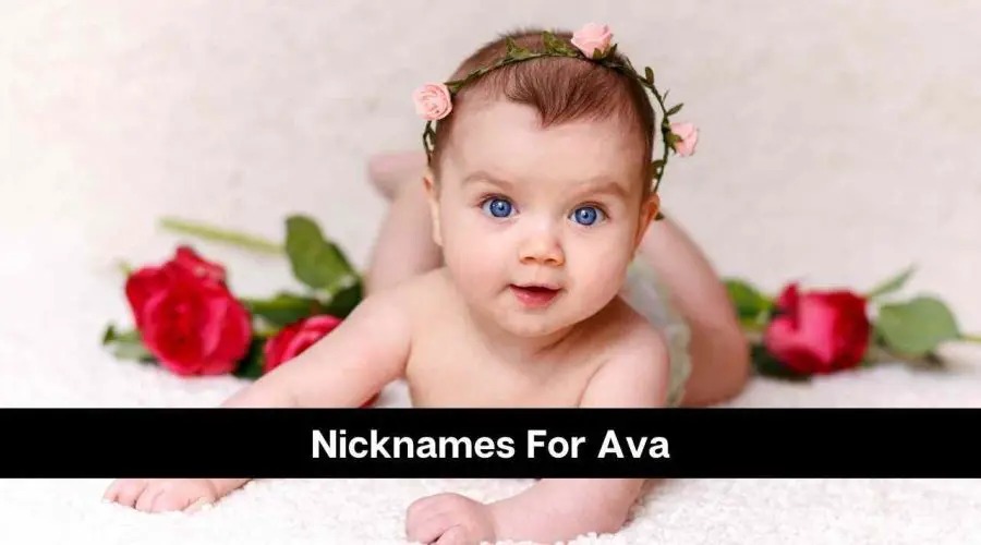 140 Fantastic Nicknames For Ava You Should Not Miss!