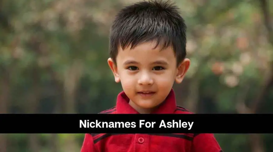 100 Best Nicknames For Ashley For Male and Female