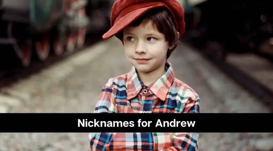 160 Best Nicknames for Andrew You Will Love