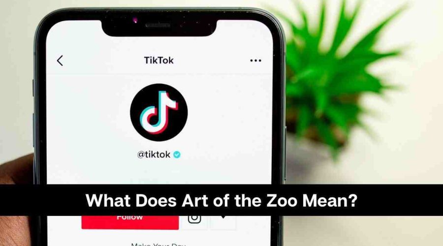 Art of Zoo: Why It Is Trending On TikTok? Know Everything About This