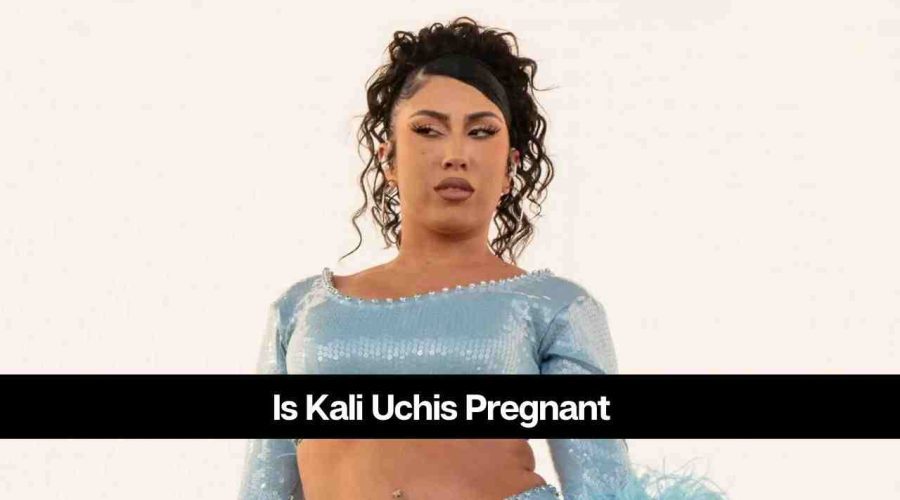 Is Kali Uchis Pregnant: When She Announced Her First Pregnancy?