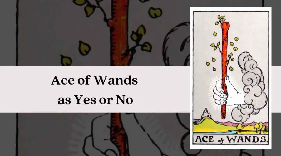 Ace of Wands as Yes or No – A Complete Guide